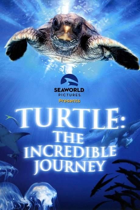 Turtle: The Incredible Journey